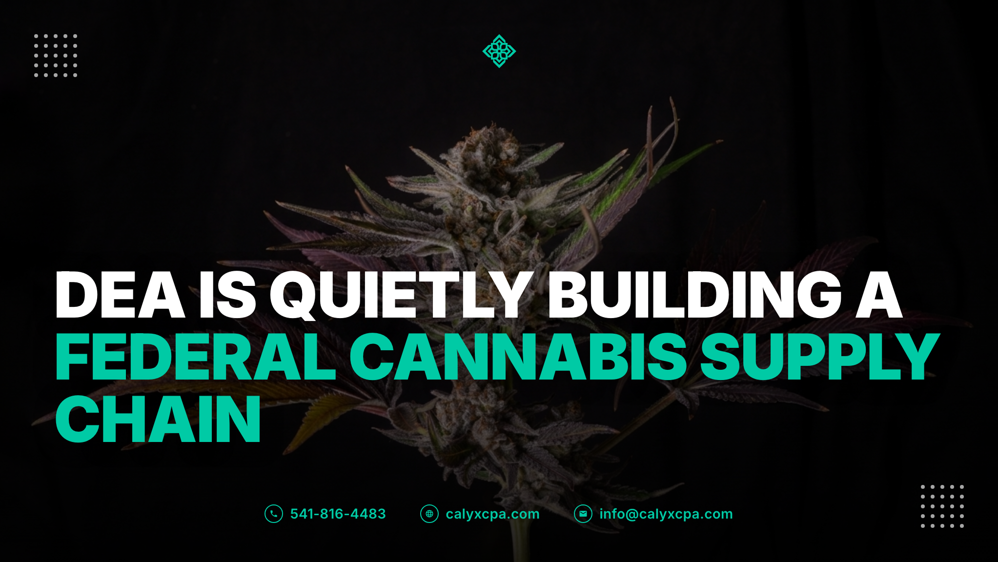 DEA Is Quietly Building a Federal Cannabis Supply Chain
