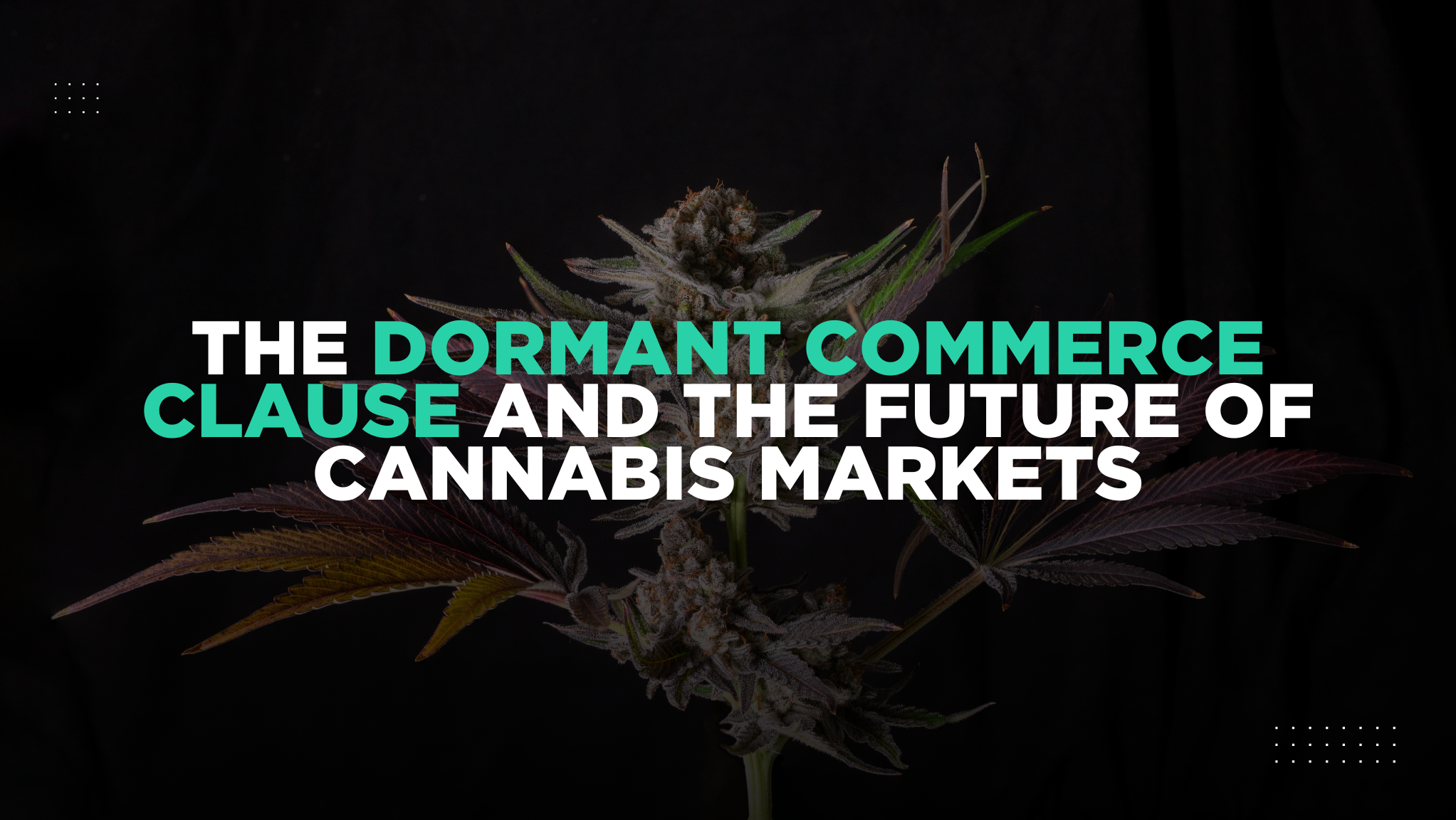 The Dormant Commerce Clause and the Future of Cannabis Markets