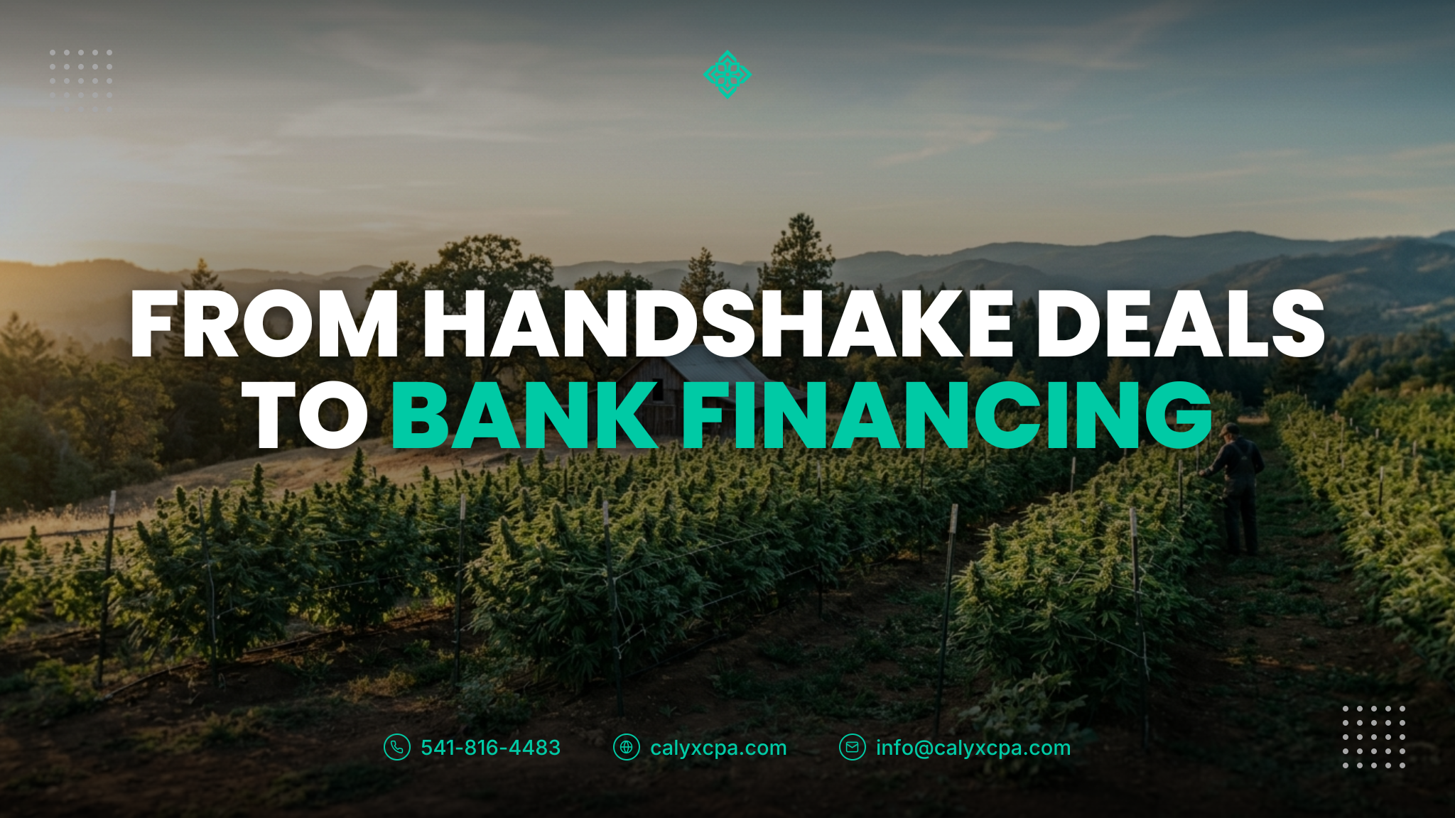 From Handshake Deals to Bank Financing