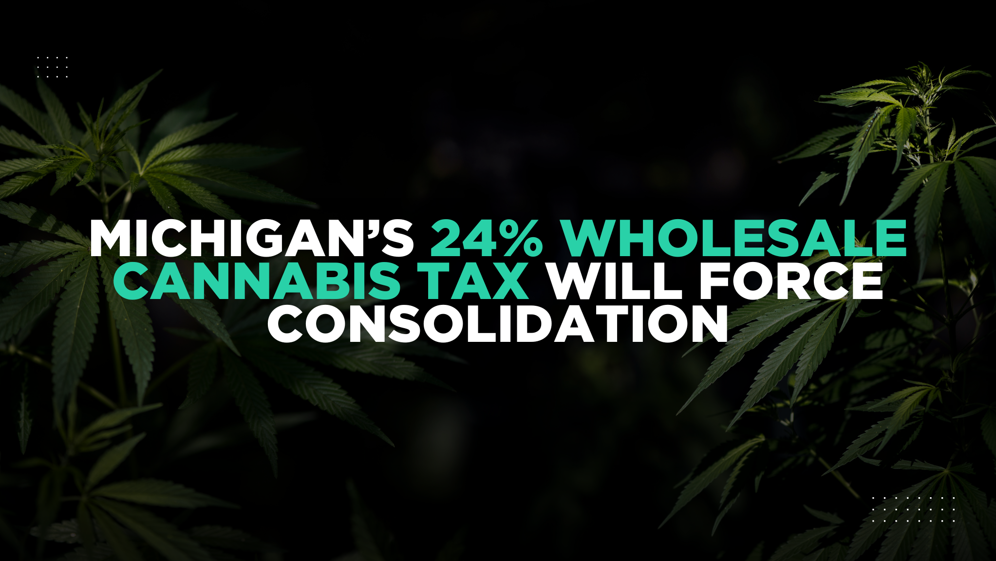 Michigan's 24% Wholesale Cannabis Tax Will Force Consolidation