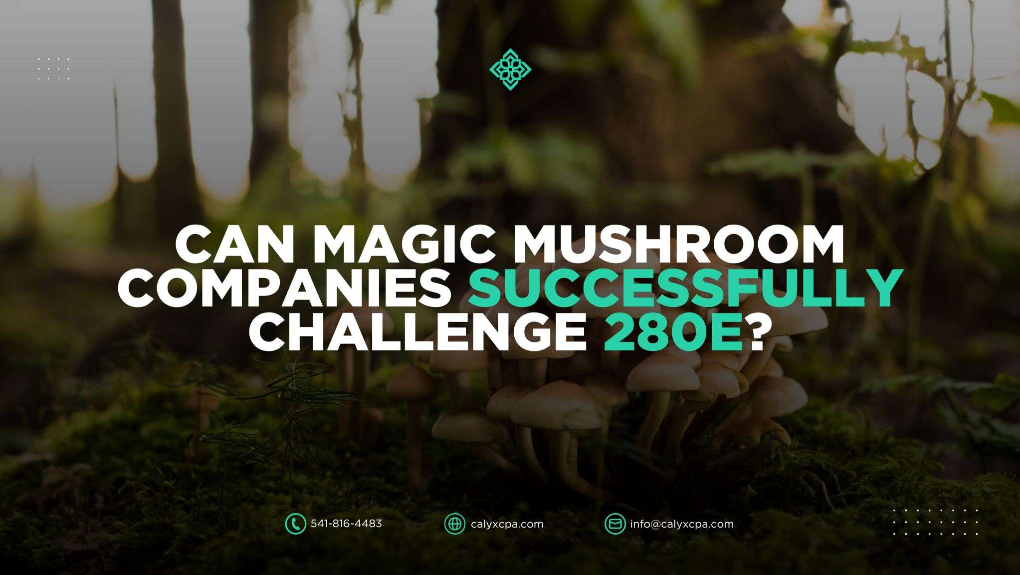 Can magic mushroom companies successfully challenge 280E?