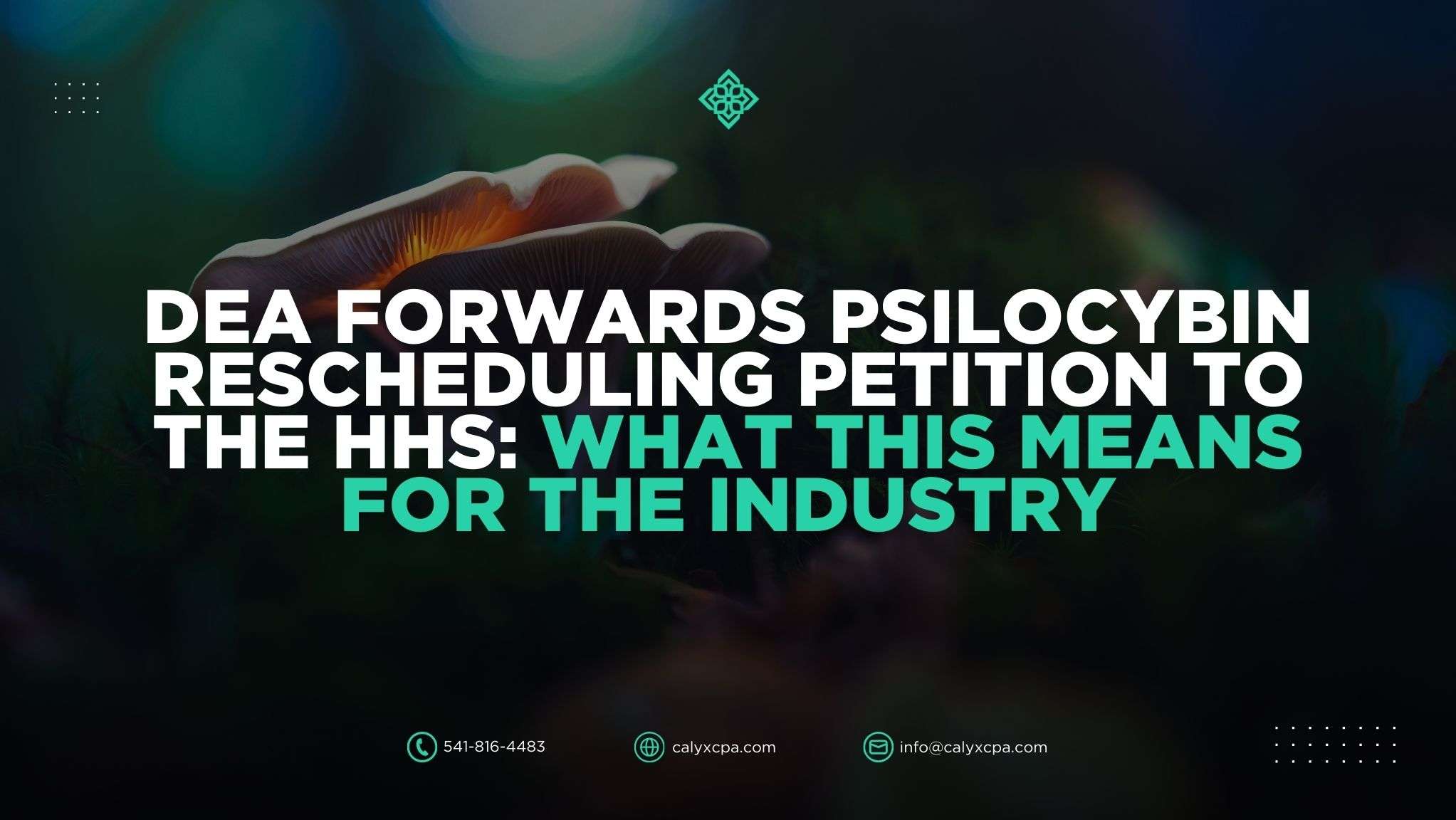 DEA Forwards Psilocybin Rescheduling Petition to the HHS: What This Means for the Industry Image